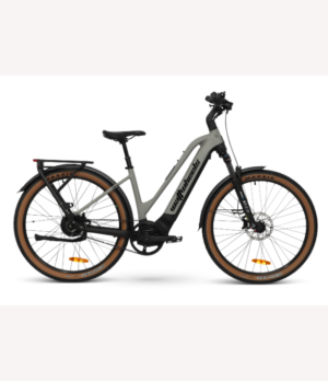 NZ electric bike