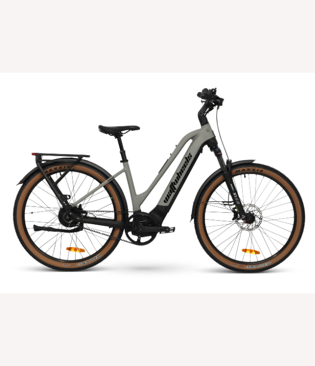 Bene eBike Bikes and Trikes