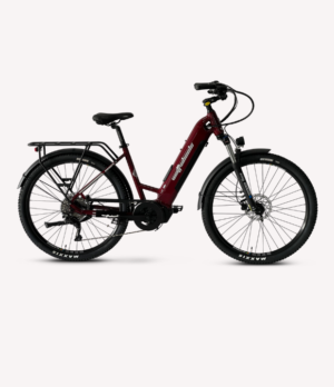 Bighorn Low Step eBikes