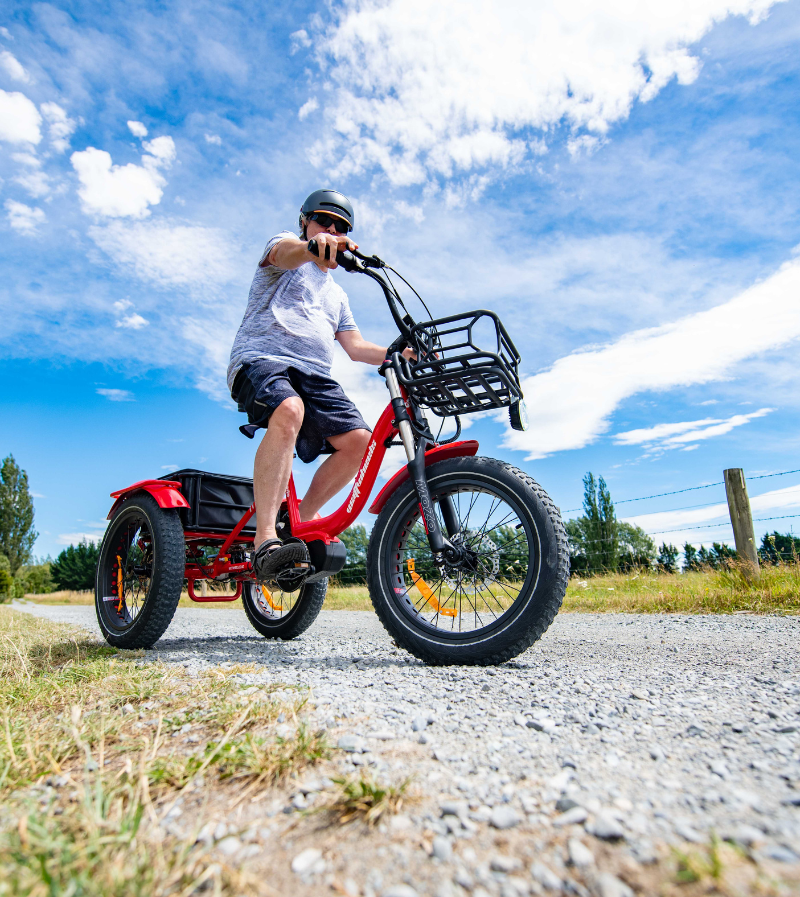 Adult Electric Tricycle