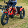 electric trike